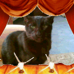 Kater Baggy " LOGE WOHNZIMMER "