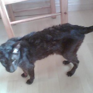 Hochsommer eine Abkühlung "schrecklich kalt"