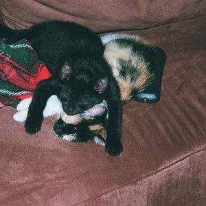 wer hier wohl besser liegt