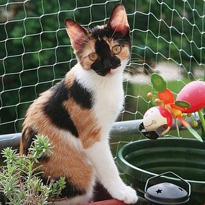 Winnie auf ihrem lieblings Platz