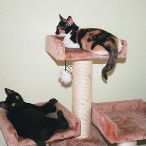 so groß sind wie schon