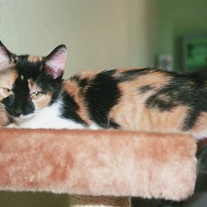 wir sind jetzt 4,5 Monate alt