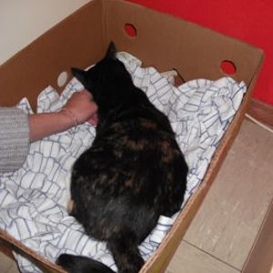 wie lange noch *seufzzzzzzz