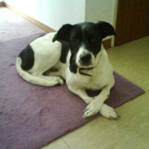 die gehört auch noch dazu unsere naomi