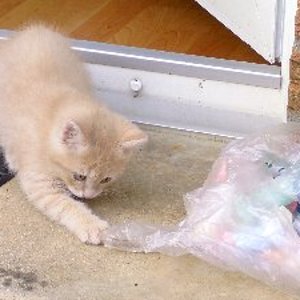 Ich bin schon sooo groß!!!