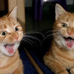 der doppelte Teddy :-)