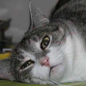 lilly mit minze an der nase :-)