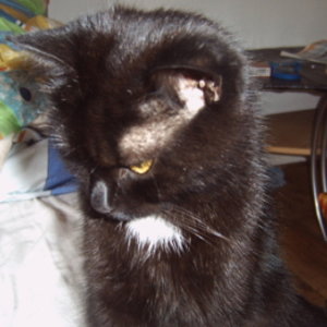 Boah ich will nicht, das du Fotos von mir machst!!