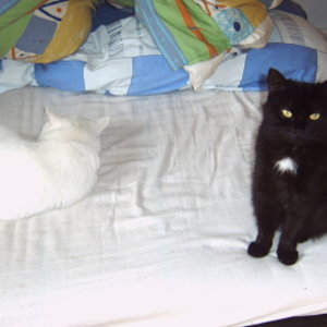 Ich wache über meine Bruder! Der hört dich ja net wenn du kommst!