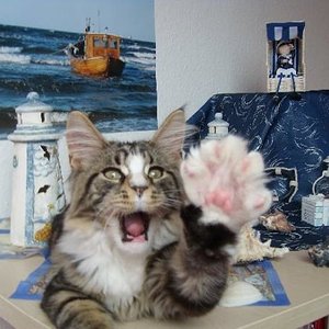 Niclas auf meiner Ostseelandschaft