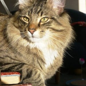 Böse schauen kann ich auch!!