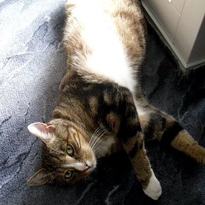 schön strecken :D

( er ist damals ein wenig rund geworden im winter xD)