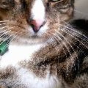 avatar - nicht beachten!