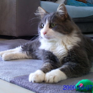 Da hat sich doch was bewegt im Terrarium