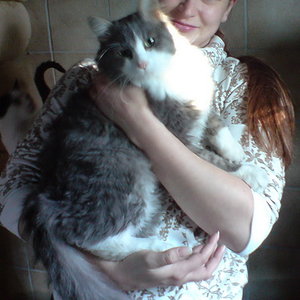 Findus kurz bevor wir Ihn aus dem Tierheim mit nach Hause genommen haben