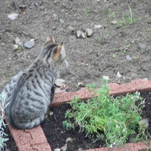 Komm Bruderherz wir wollen doch spielen.