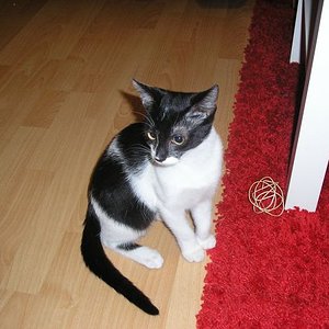 ...frisch angekommen