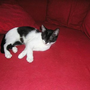 ...das erste Schläfchen