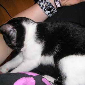 ...sie ist eben eine Kuschelmaus