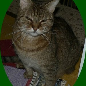 Immer müde der alte Herr!+-leider am 12.12.09 gestorben