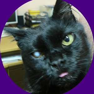 Bruno
Mit seiner Behinderung die ihm aber überhaupt nichts ausmacht.
frech iss er trotzdem.