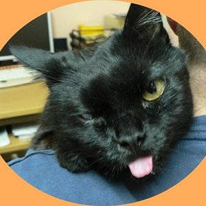 Ätsch bin auch hier...