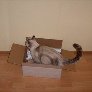 So ein Karton ist doch was feines