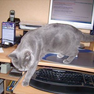 Will etwa einer arbeiten?