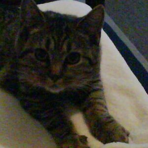 Die dicke Nudel auf Schmusekurs