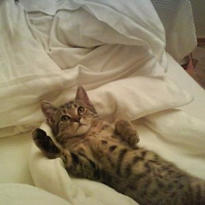 Da bin ich auch noch sooooo lieb