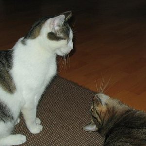 Eins der wenigen Bilder, wo wir gemeinsam erwischt wurden und einfach nicht schnell genug reagiert haben ;-)