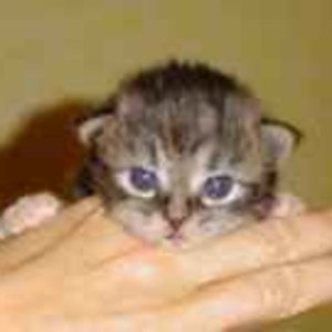 1 db3d335dd0c73d055318f3e1689ca9e7 m