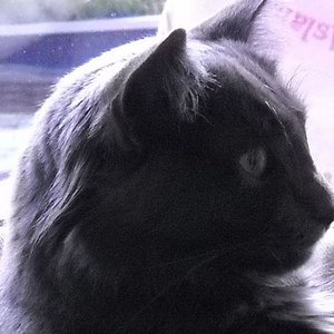 Kopie (2) von 26.07 (63)