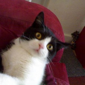 khddu9mlvzxnletgridemjpfb26