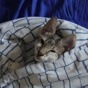 *gähn*

August 2009