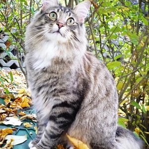 Ist das schööööön draußen!!!