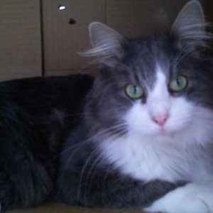 Komm rein kannste rausschauen