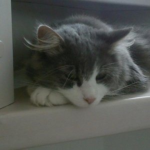 Auf der Treppe hat man immer einen guten Überblick und ist eine klasse Stolperfalle