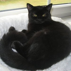 Bin ich nicht wunderschön?