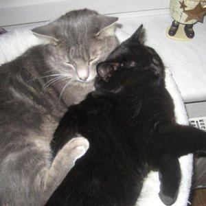 Kommt zwar nicht jeden Tag vor, aber dennoch: kuscheln ist schön!