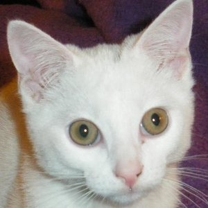 frecher Kerl...
aber wenn er einen so anschaut....