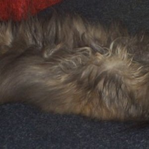 Tinka mal in anderer Ansicht :D