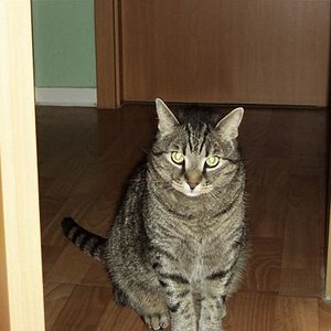 Ich werde Dich immer in meinem Herzen tragen!

Geboren: 02.04.1999 - Gestorben: 14.11.2009