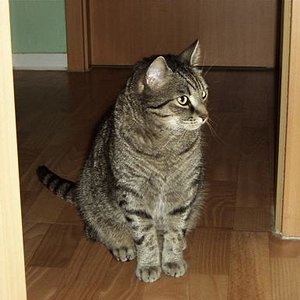 Mein Dicker - da war die Welt noch in Ordnung