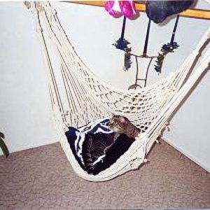 Na jemanden entdeckt?