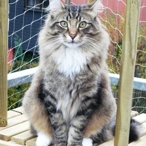 Pori, am Liebsten draußen!!!