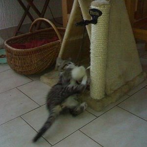 mit 2 Monaten beim Spielen