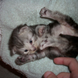 Moritz
Unser kurzzeitiges Sorgenkind.