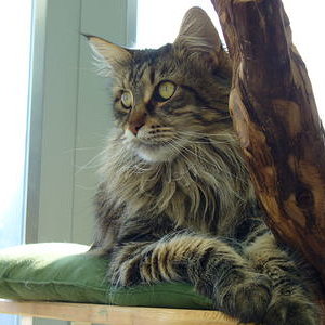 unser schönes Mädchen