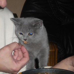 kleiner extra Imbiss